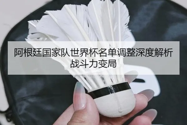 阿根廷国家队世界杯名单调整深度解析战斗力变局